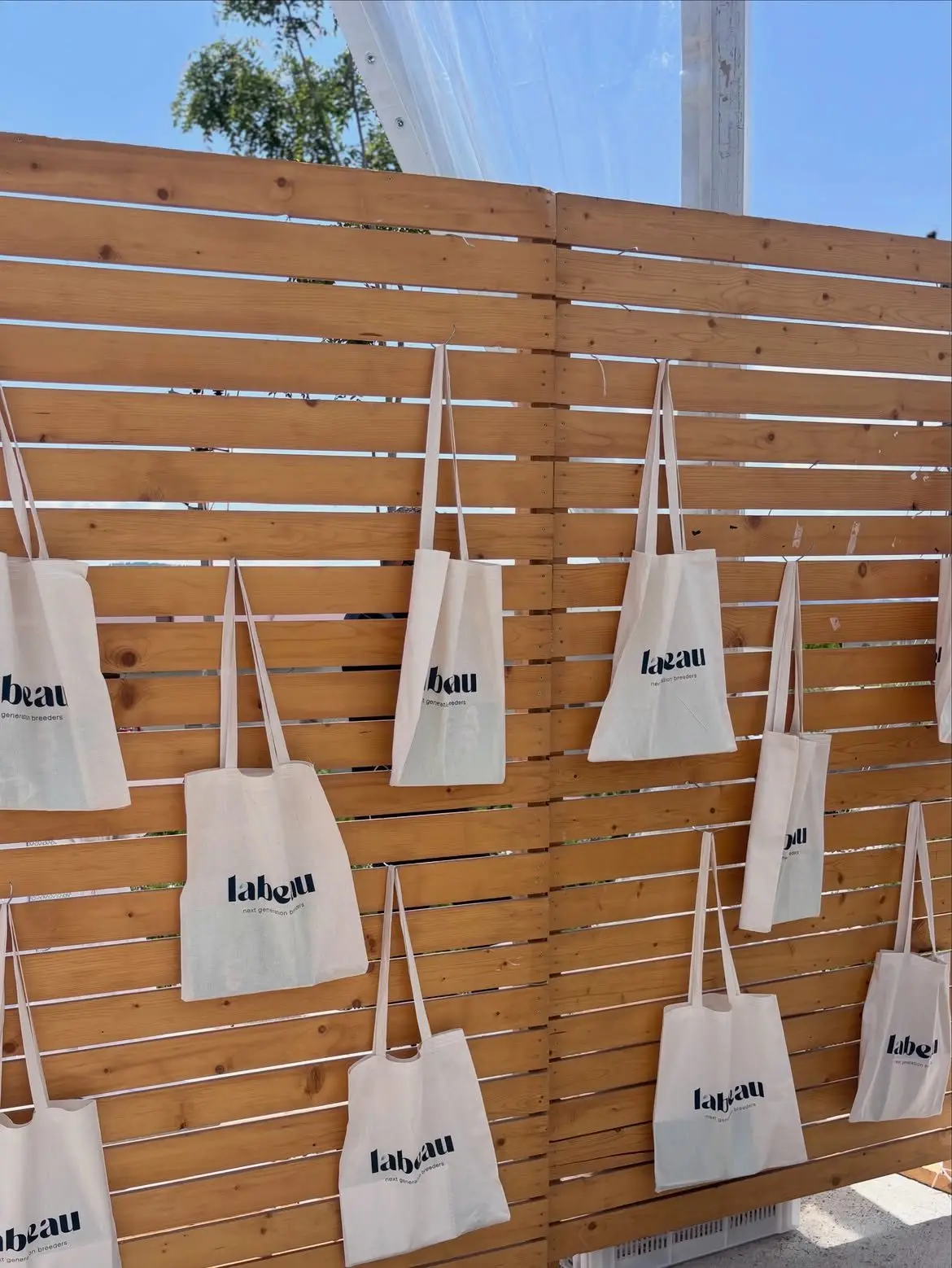 Kurumsal Etkinlik & Açılış — Rüzgar Organizasyon