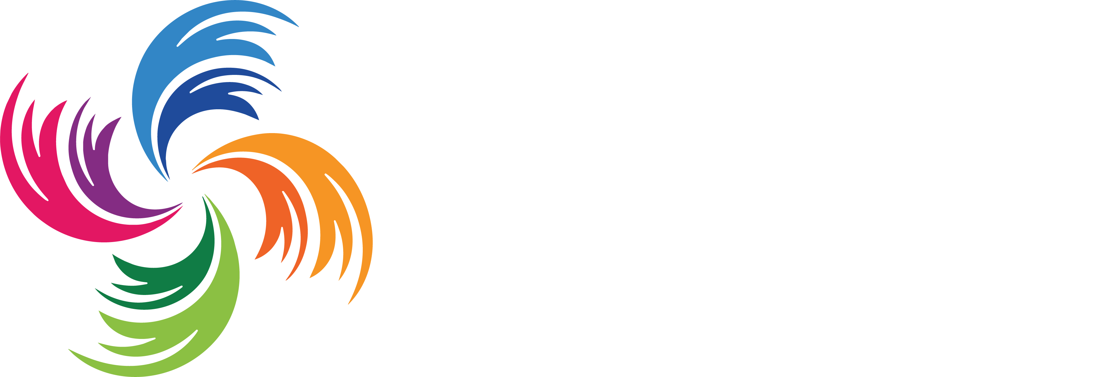 Rüzgar Organizasyon
